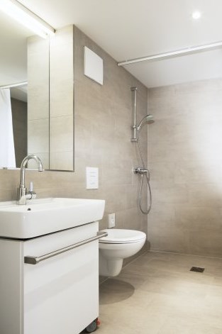 Набор душевой Grohe TEMPESTA NEW II 600мм 27598000