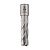 Фреза HSS 16x50мм Weldon 19мм Extra Line Diam 320309